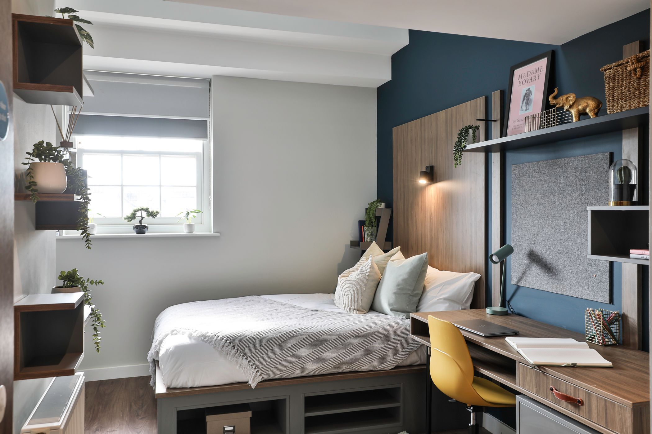 Premium Shared Apartment